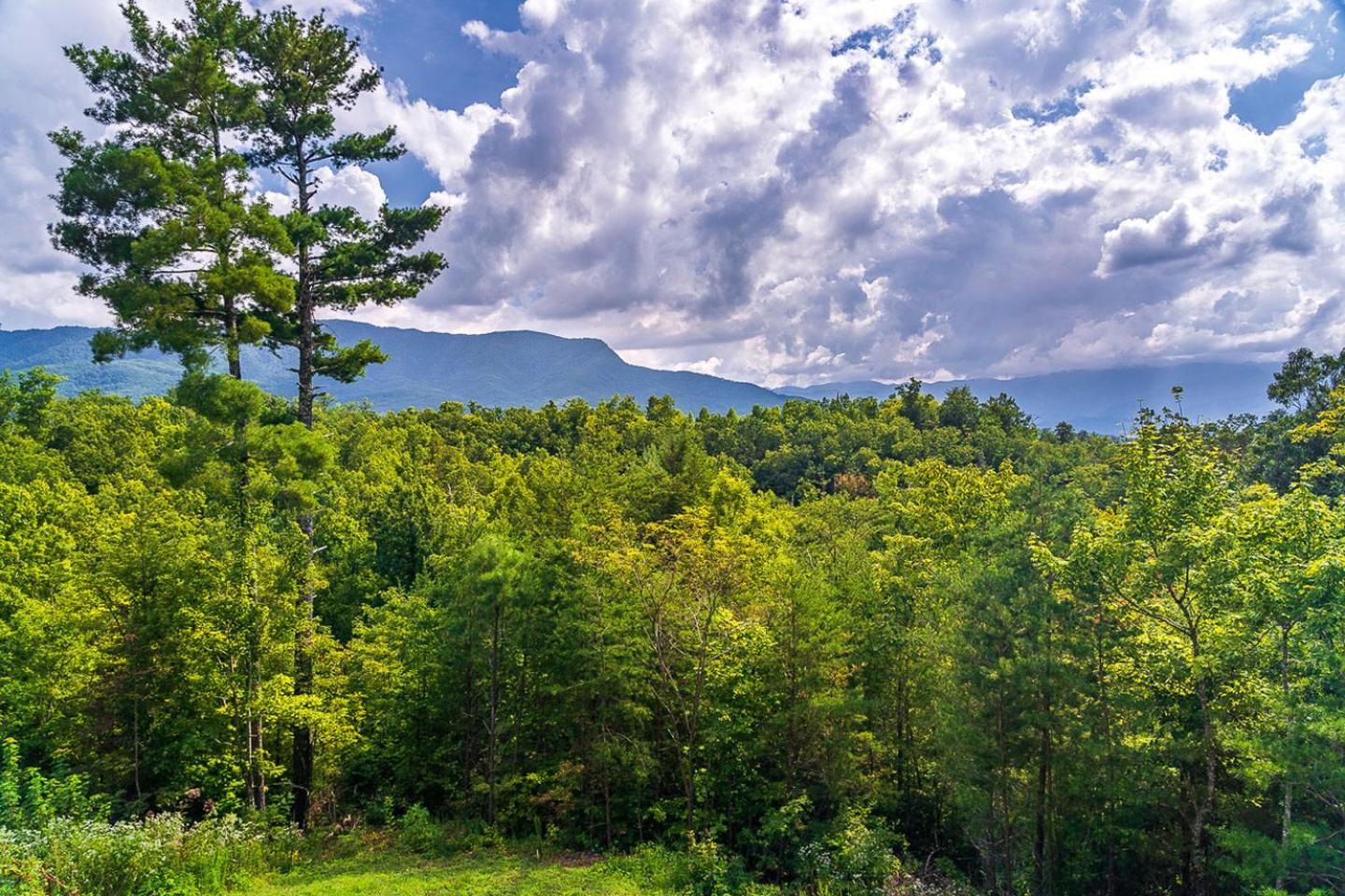 Big Bear Ridge Lodge - Breathtaking Mountain Views And Private Forest Scenes In Amazing Large Log Cabin 개틀린버그 외부 사진